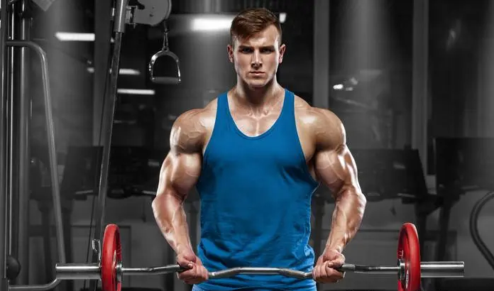 Musclel Musclel
